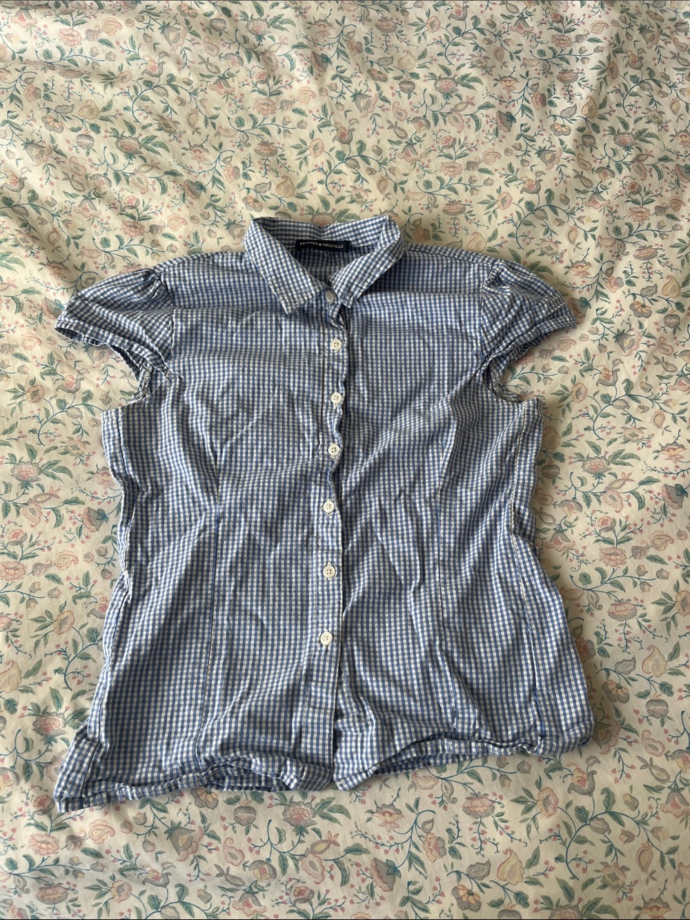 Brandy Melville Blue Gingham Button-Down Shirt